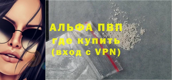 стафф Арсеньев