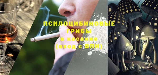 стафф Аркадак