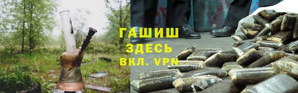 стафф Арсеньев