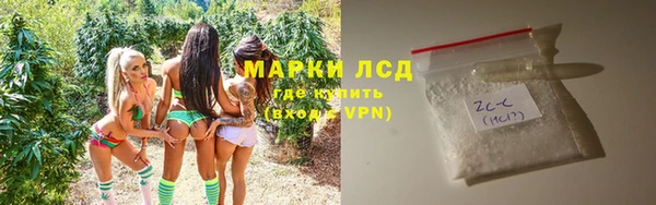 стафф Арсеньев