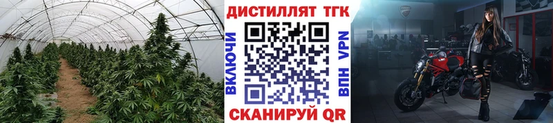 гидра tor  Тихвин  ТГК концентрат  купить закладку 