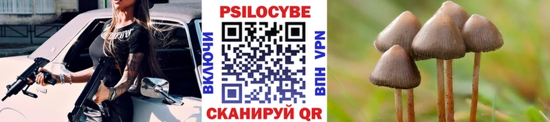 Псилоцибиновые грибы мухоморы  Тихвин 