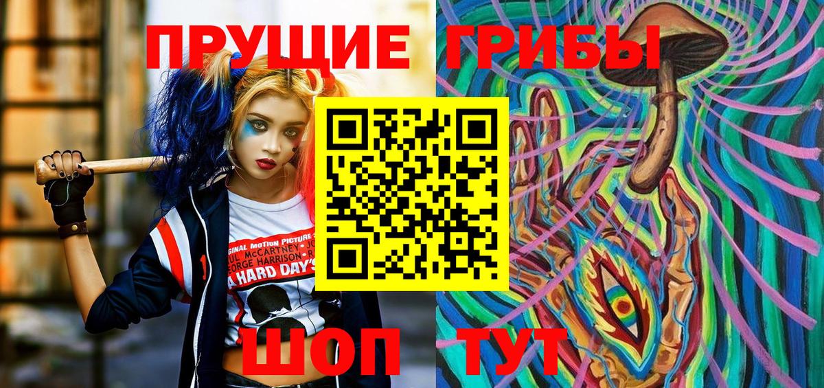 Галлюциногенные грибы GOLDEN TEACHER  Вход с VPN  Тихвин  Псилоцибиновые грибы Psilocybe 