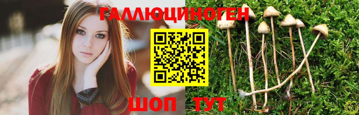 Псилоцибиновые грибы GOLDEN TEACHER Тихвин